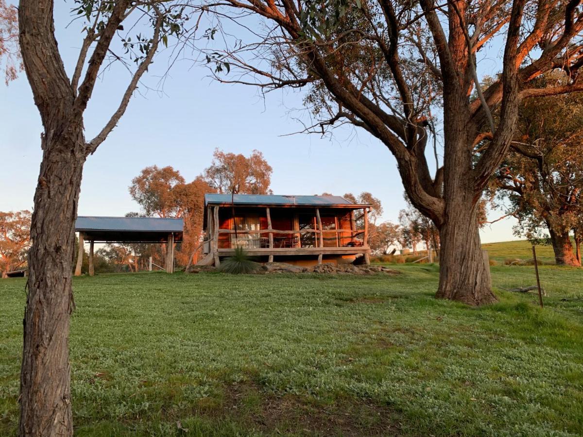 Gaddleen Grove Cottages Wodonga Exterior foto